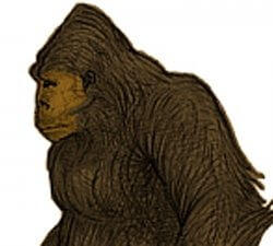 cyeti N