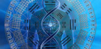 DNA blueprint