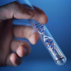 fceeDNA test tube x