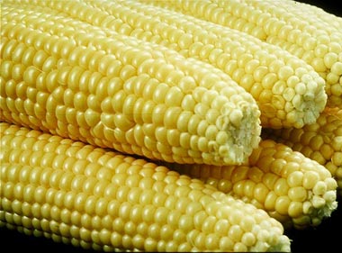sweet corn on cob