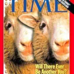 dolly sheep