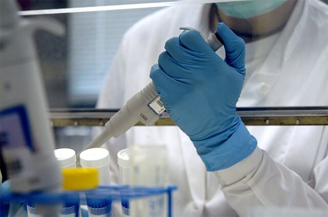 forensic DNA