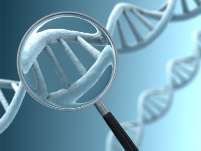 genetic test magnified