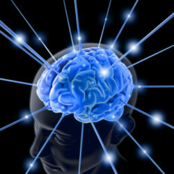 brain smart