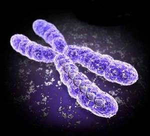gene therapy chromosome