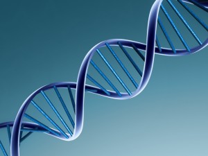 DNA x