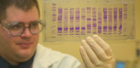 px CBP chemist reads a DNA profile