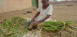 px Farmer in India