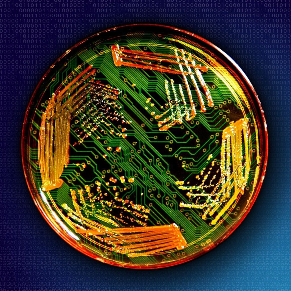 Synthetic biology comes down to Earth Literacy Project