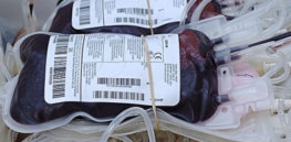 px Donated blood e