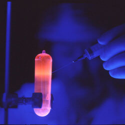 DNA purification