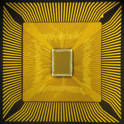 cognitive chip