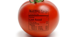 tomato gmo label