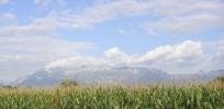px Field corn Liechtenstein Mountains Alps Vaduz sky clouds landscape copy e