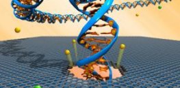 DNA sequencing using graphene nanopores