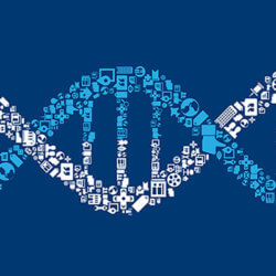 gene expression