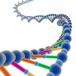 eBay genome auction