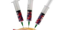 fda antibiotics