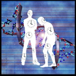 web EpigeneticClockHeatmap copy
