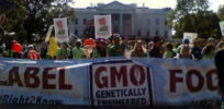 Washington State GMO labeling initiative to go to the voters in a November ballot strict xxl