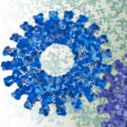 gear cropped