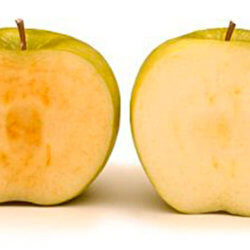 apple comp e