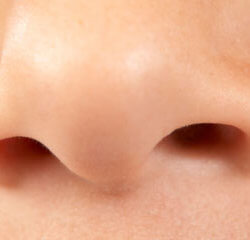 sense of smell