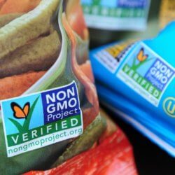 non gmo label story top