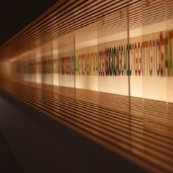 genome e
