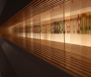 genome e