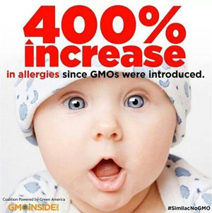 genetically modified foods gmos linked to intestinal permeability allergies