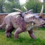 Styracosaurus Baltow