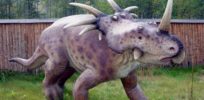 Styracosaurus Baltow