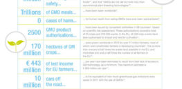 top ten statistics on gmos