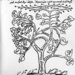 Centrum securitatis Tree of life