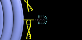 DNA nanobot