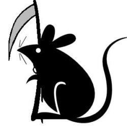 death mouse