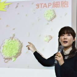 lat la stem cells wre