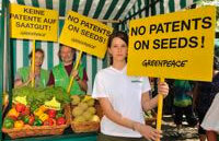 no gmo patent greenpeace protests in munich against the patent on broccoli