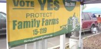 Voters ban GMO crops in southern Oregon