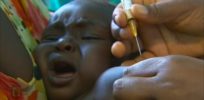 Malaria vaccine? Genetic engineering turns parasite into vaccine candidate