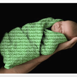 BabySeq