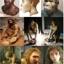 Homo Models