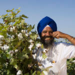 pic bt cotton punjab farmer