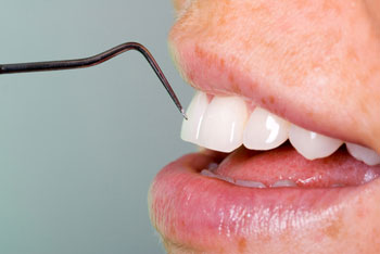 teeth