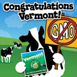vermont sq