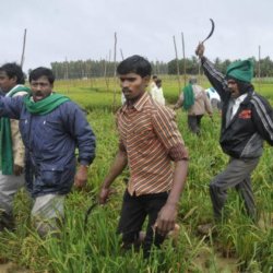TH FARMERS PROTE f