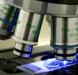 epigenetics cancer