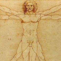 o VITRUVIAN MAN facebook