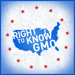rtk gmo